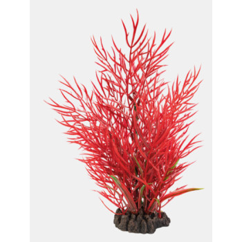 ART PLANT LUDWIGIA
